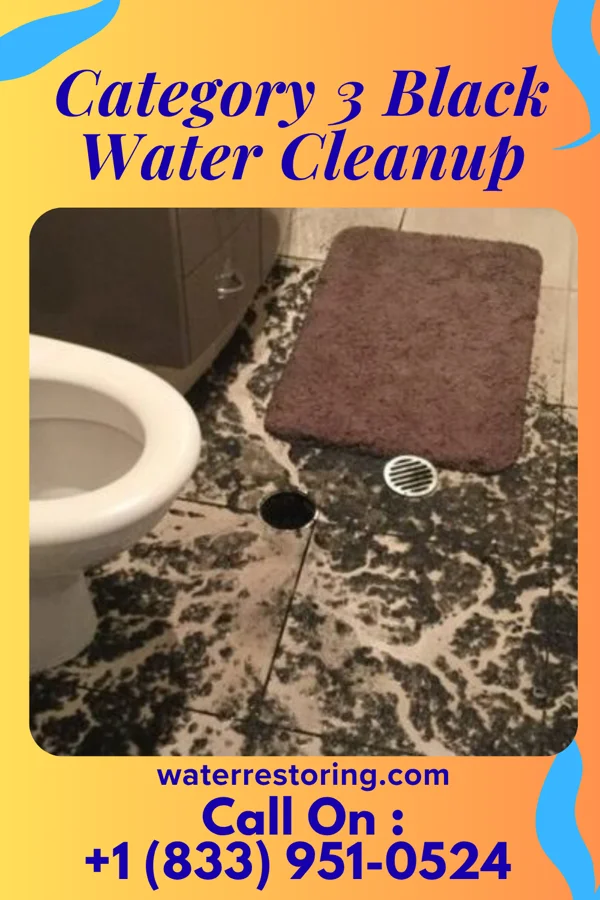 Category 3 Black Water Cleanup in Bowers, DE