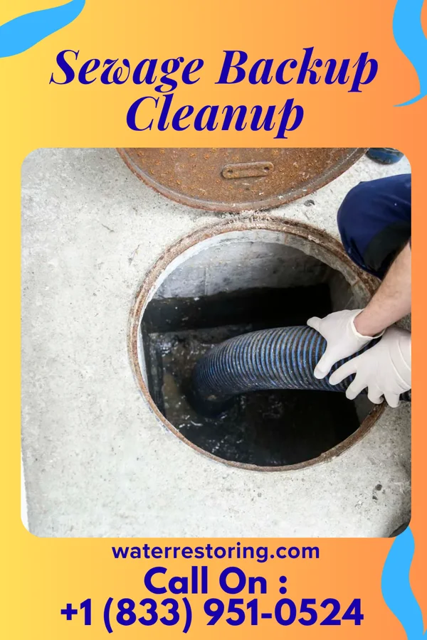Sewage Backup Cleanup in Bowers, DE
